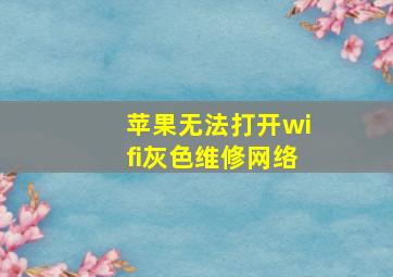 苹果无法打开wifi灰色维修网络