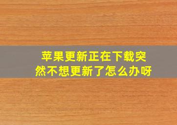 苹果更新正在下载突然不想更新了怎么办呀