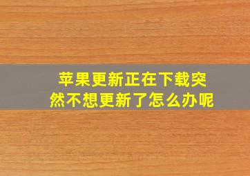 苹果更新正在下载突然不想更新了怎么办呢