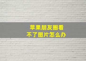 苹果朋友圈看不了图片怎么办