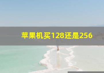 苹果机买128还是256