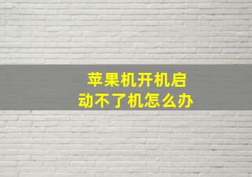 苹果机开机启动不了机怎么办