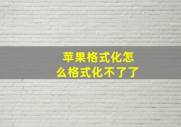 苹果格式化怎么格式化不了了