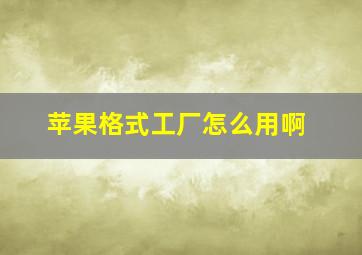 苹果格式工厂怎么用啊