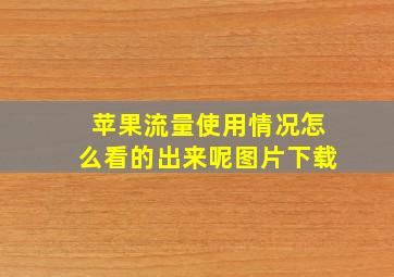 苹果流量使用情况怎么看的出来呢图片下载