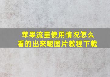 苹果流量使用情况怎么看的出来呢图片教程下载