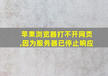 苹果浏览器打不开网页,因为服务器已停止响应