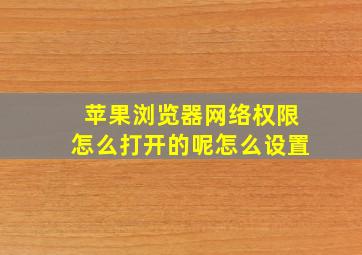 苹果浏览器网络权限怎么打开的呢怎么设置