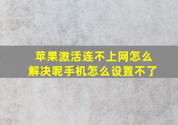 苹果激活连不上网怎么解决呢手机怎么设置不了