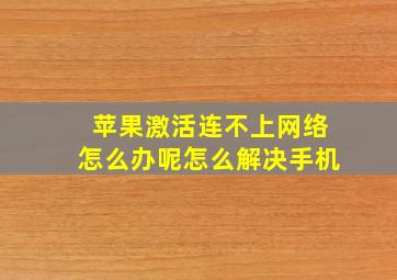 苹果激活连不上网络怎么办呢怎么解决手机