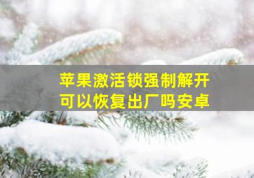 苹果激活锁强制解开可以恢复出厂吗安卓