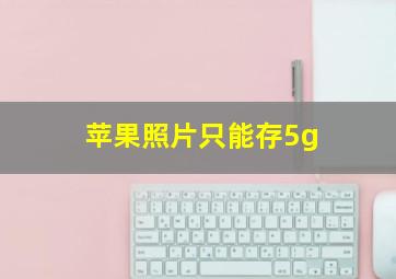 苹果照片只能存5g