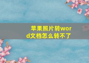 苹果照片转word文档怎么转不了