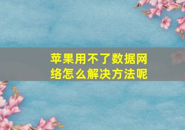 苹果用不了数据网络怎么解决方法呢