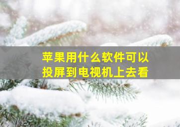 苹果用什么软件可以投屏到电视机上去看