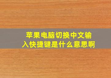 苹果电脑切换中文输入快捷键是什么意思啊