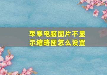 苹果电脑图片不显示缩略图怎么设置