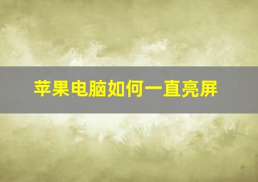 苹果电脑如何一直亮屏