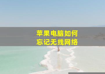 苹果电脑如何忘记无线网络