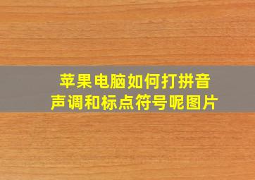 苹果电脑如何打拼音声调和标点符号呢图片