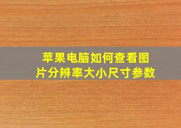 苹果电脑如何查看图片分辨率大小尺寸参数