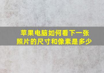 苹果电脑如何看下一张照片的尺寸和像素是多少