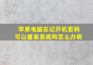 苹果电脑忘记开机密码可以重装系统吗怎么办啊