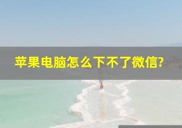 苹果电脑怎么下不了微信?