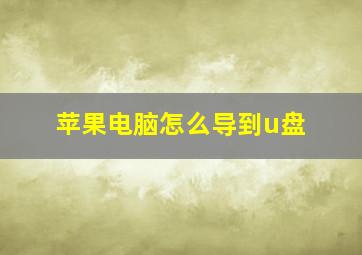 苹果电脑怎么导到u盘