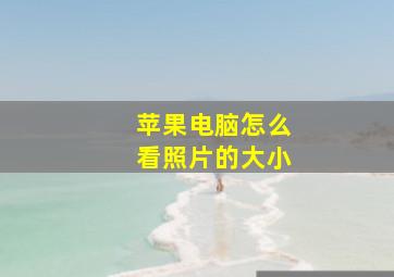 苹果电脑怎么看照片的大小