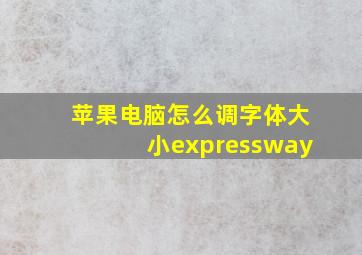 苹果电脑怎么调字体大小expressway