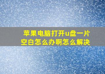 苹果电脑打开u盘一片空白怎么办啊怎么解决