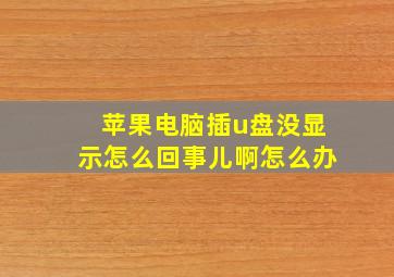 苹果电脑插u盘没显示怎么回事儿啊怎么办