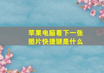 苹果电脑看下一张图片快捷键是什么