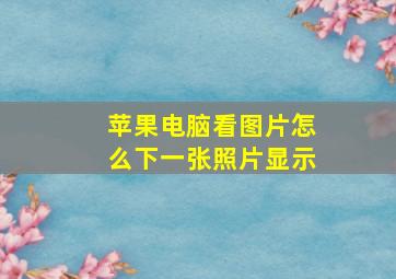 苹果电脑看图片怎么下一张照片显示