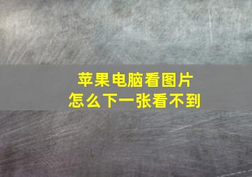 苹果电脑看图片怎么下一张看不到