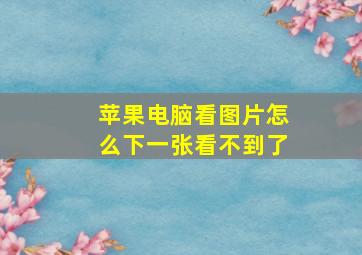 苹果电脑看图片怎么下一张看不到了