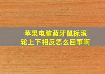 苹果电脑蓝牙鼠标滚轮上下相反怎么回事啊