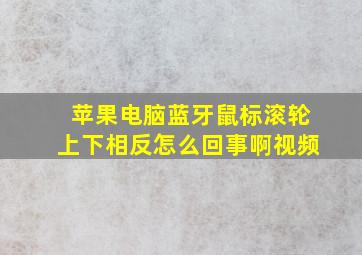 苹果电脑蓝牙鼠标滚轮上下相反怎么回事啊视频