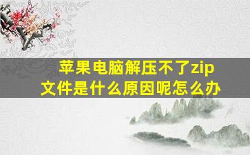 苹果电脑解压不了zip文件是什么原因呢怎么办