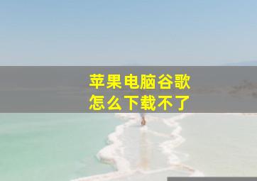 苹果电脑谷歌怎么下载不了