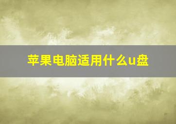 苹果电脑适用什么u盘