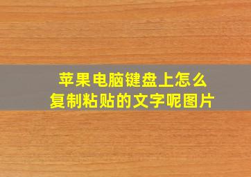 苹果电脑键盘上怎么复制粘贴的文字呢图片