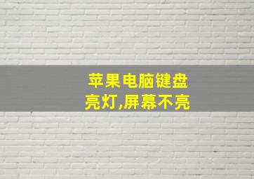 苹果电脑键盘亮灯,屏幕不亮