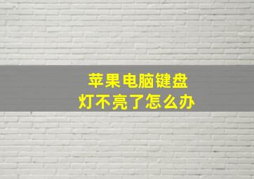 苹果电脑键盘灯不亮了怎么办