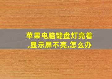 苹果电脑键盘灯亮着,显示屏不亮,怎么办