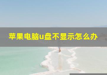 苹果电脑u盘不显示怎么办