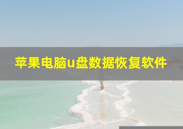 苹果电脑u盘数据恢复软件