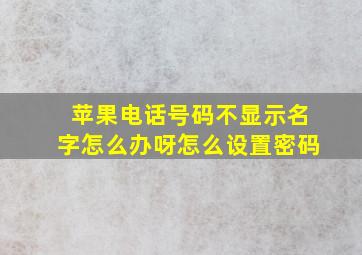 苹果电话号码不显示名字怎么办呀怎么设置密码