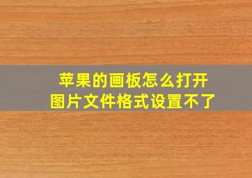 苹果的画板怎么打开图片文件格式设置不了